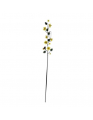 Tuteur pluviomètre fleurs 168x19x7cm