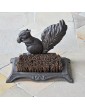 BROSSE EN FONTE "ÉCUREUIL"