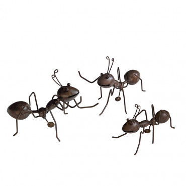 Set Crazy Fourmis