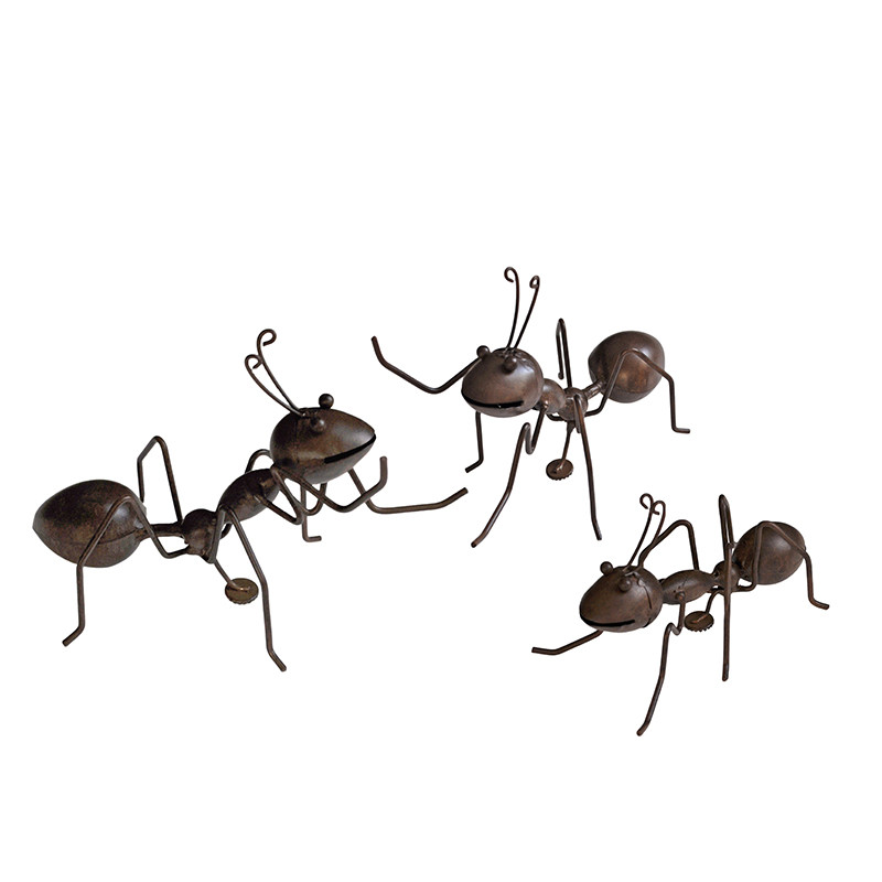 Set Crazy Fourmis