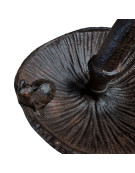 Mangeoire oiseaux champignon 14x13x8cm