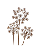 Tuteur déco fleurs 40x6x105cm