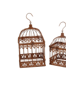 Set 2 cages plantes 19x36cm