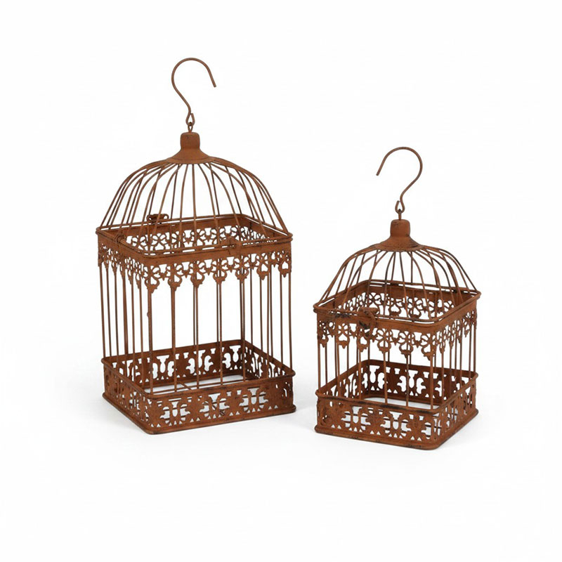 Set 2 cages plantes 19x36cm