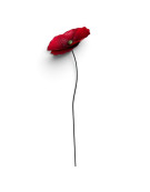 Tuteur jardin grande fleur rouge 28x28x127cm