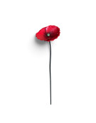 Tuteur jardin petite fleur rouge 18x18x87cm